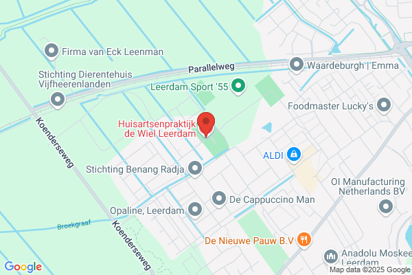 Wiel, De