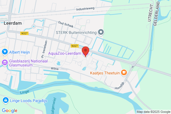 Ga In Leerdam Naar De Haaien