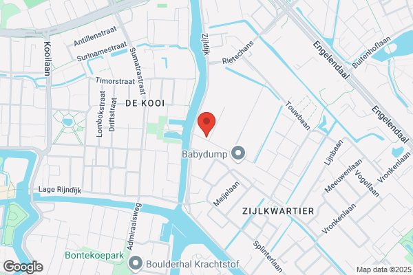 Kok