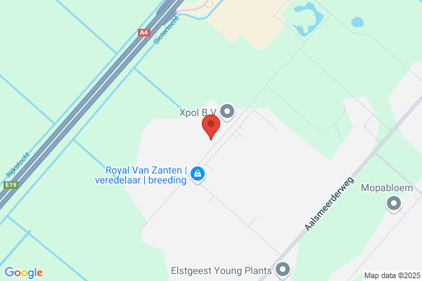 Vreeken, Bloemenhandel- Speciaal Orchide