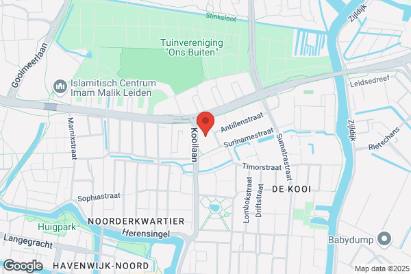 Action Leiden