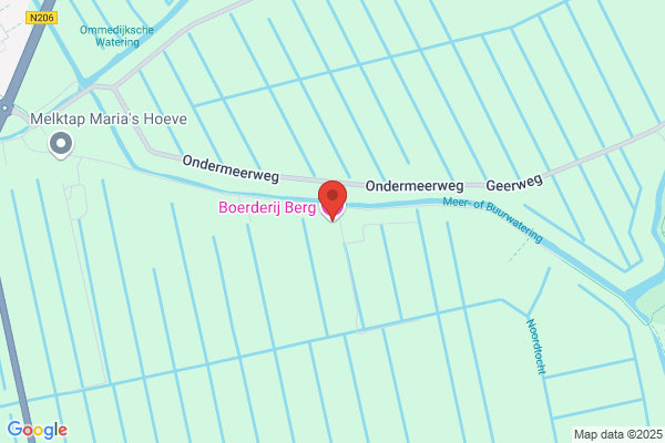 Bergen, De