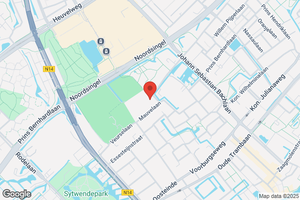 Jong, De