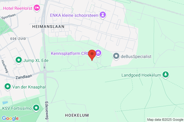 Nederlandse Thuiswinkelorganisatie