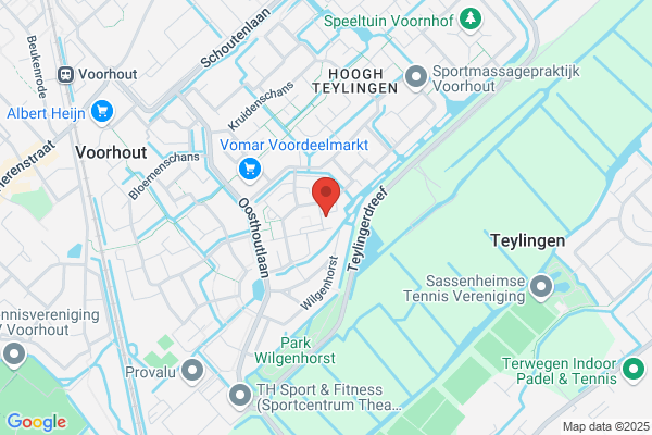 Hondenschool Vlietstede