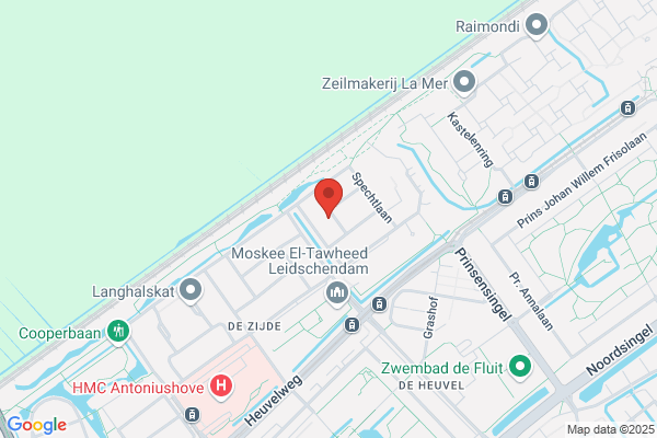 W.J.M. Duijvestijn En Zoon