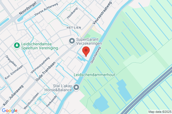 Verzicht Bv