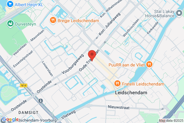 Bleijs
