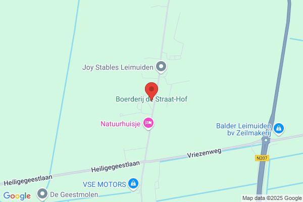 Staat