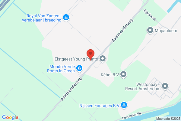 Firma F. Grosscurt En Zonen Cv