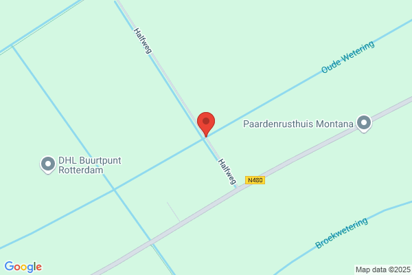 Schouwenaar