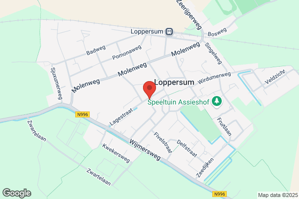 Smidse Kapsalon De