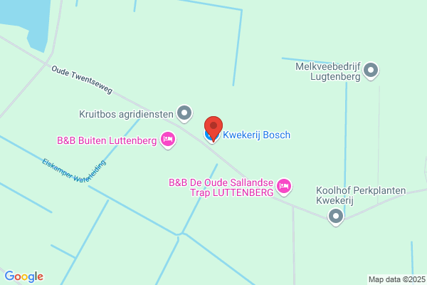 Kwekerij Bosch
