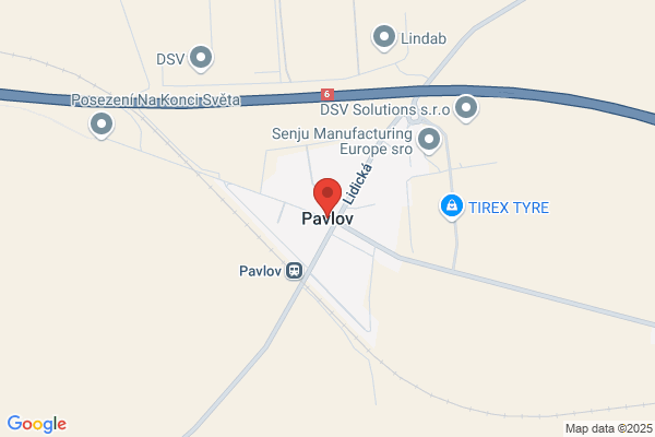 Drs P Pavlov