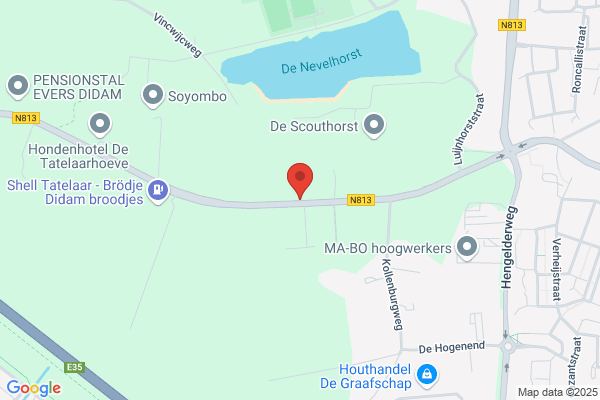 Hendriks, P T M