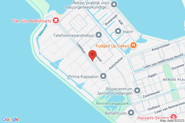 Lepelaar, De