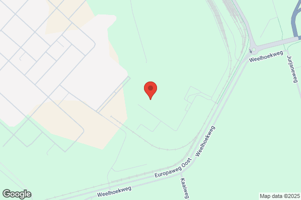 Nieuwdorp Management Services Bv