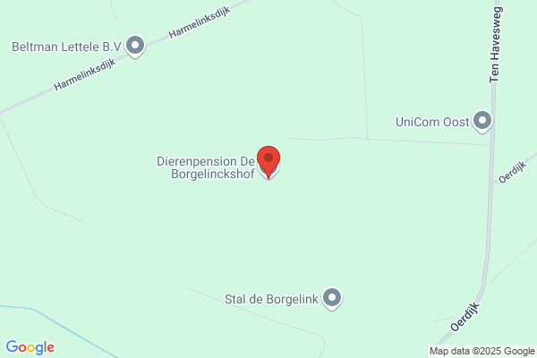 Borgelinckshof, De