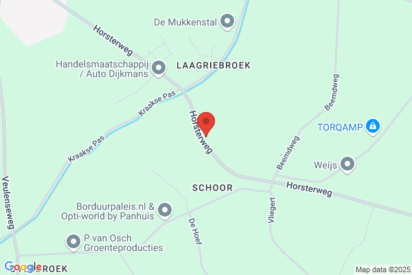 Chinchilla Centrum Nederland