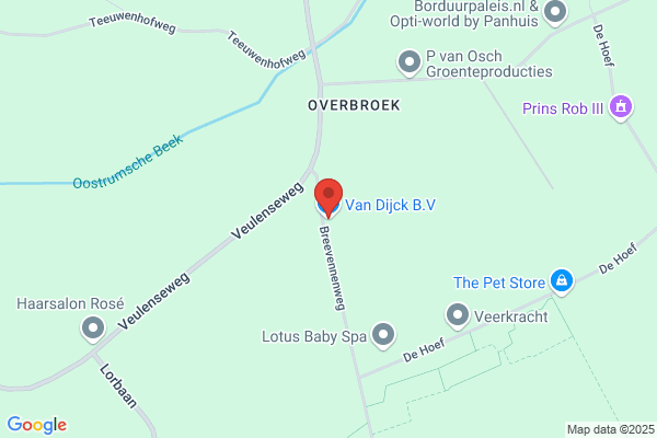 Van Dijck Bv