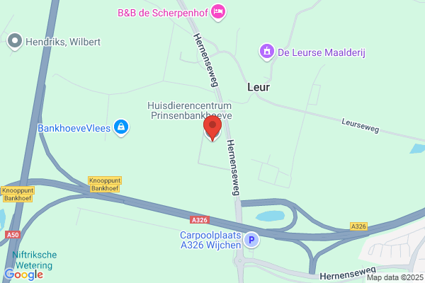 Dierenvakantieboerderij Prinsenbankhoeve