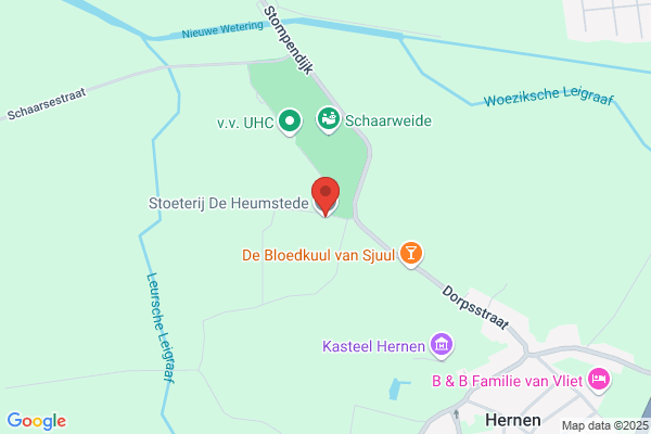 Heumstede Stoeterij De