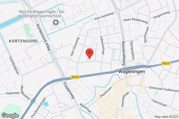 Klassieke Homeopaath Acupunctuur H. Tiemessen