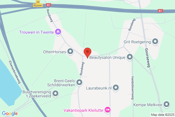 Jong Nedederland, Stichting