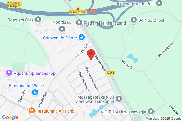 Pedicurepraktijk De Vrolijke Voetjes Mevr A Niemantsverdriet