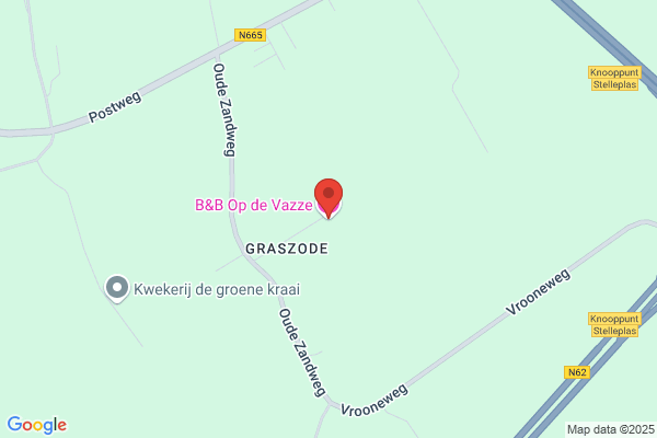 Vasse