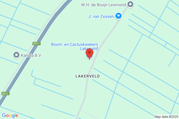 Cactus- En Boomkwekerij Lakerveld C.V.