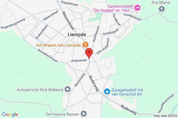Burgt, Van Der