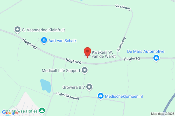 A.B. Berendsen-Van De Wardt