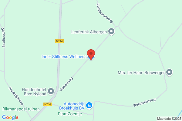 Welness International Network