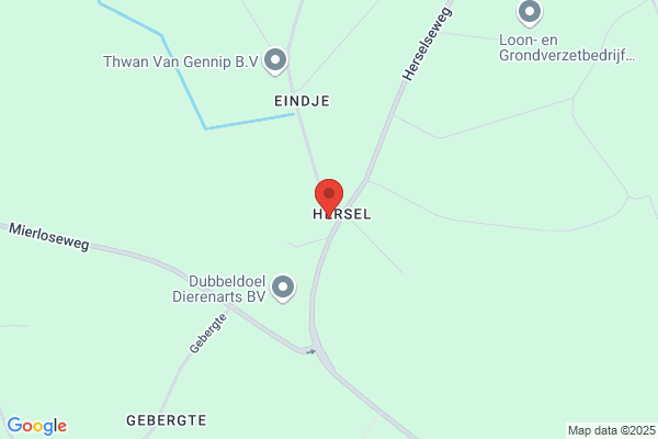 acupunctuur someren