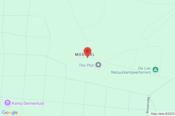 Lier, De