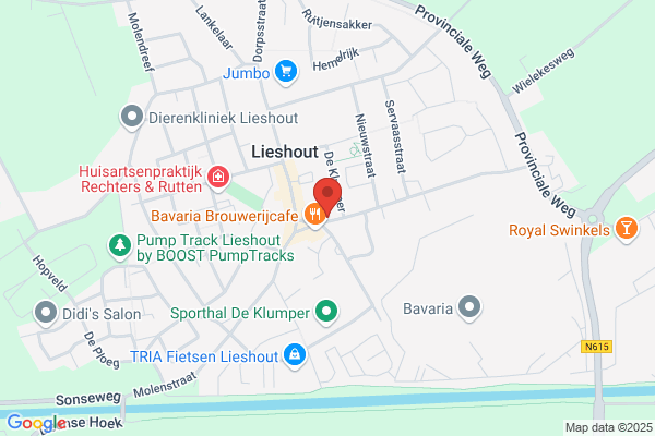Concurrent Schepers Lieshout de