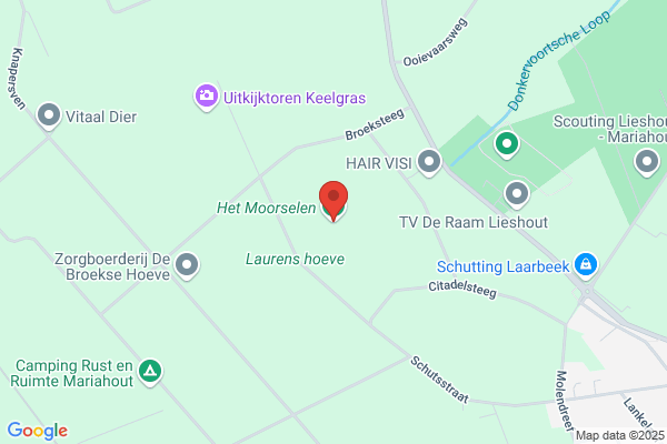 Moorsel, C J G Van