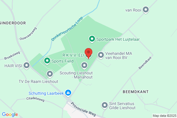 Ruis, Joost