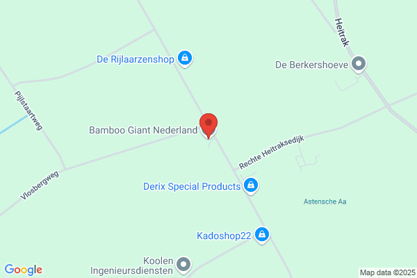 Bamboo Giant NL