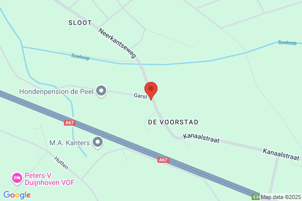 Mr. R.F.L.M. Van Dooren Bv