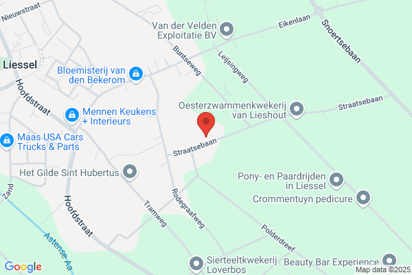 Natuurlijke Geneeswijze, Praktijk