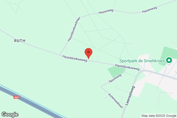 Piet Hikspoors