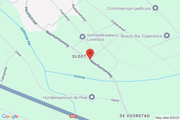 Valk, Van De