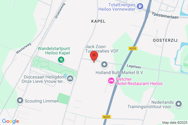 Kees Zoon