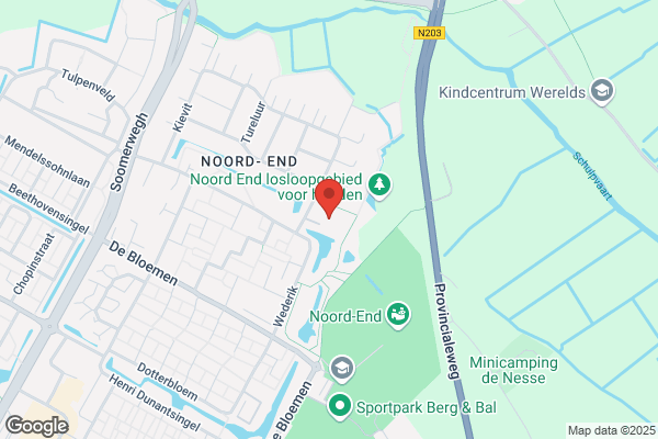 Visser T Hooft