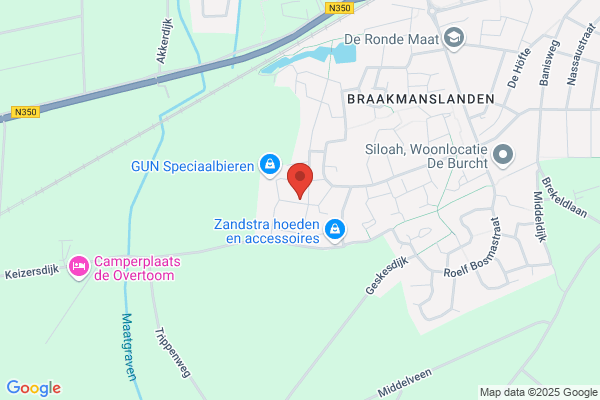 Vakschilders