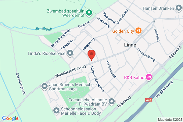 Muraccent Muurschilderingen