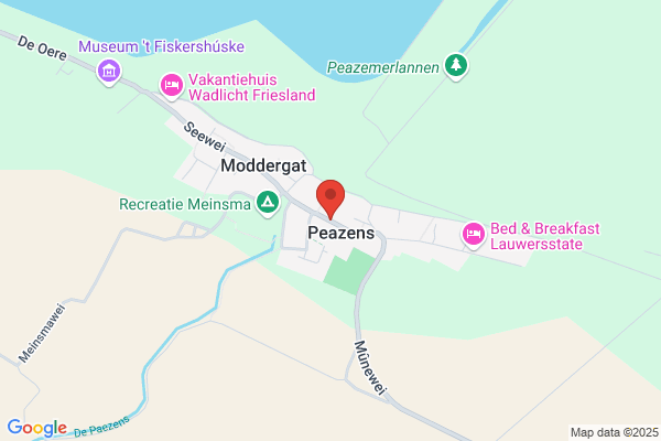 Zwarte Arend De