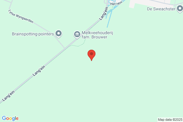 Froni Minkema - Langhout